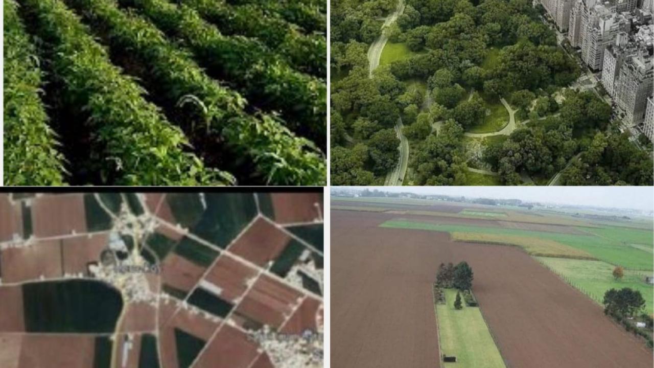 TEMA Vakfı’ndan Harran Ovası İçin Betonlaşma Uyarısı