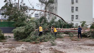 Büyükşehir, Birecik’te Afetin Yaralarını Hızlı Bir Şekilde Sarıyor