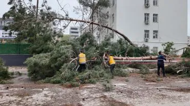 Büyükşehir, Birecik’te Afetin Yaralarını Hızlı Bir Şekilde Sarıyor