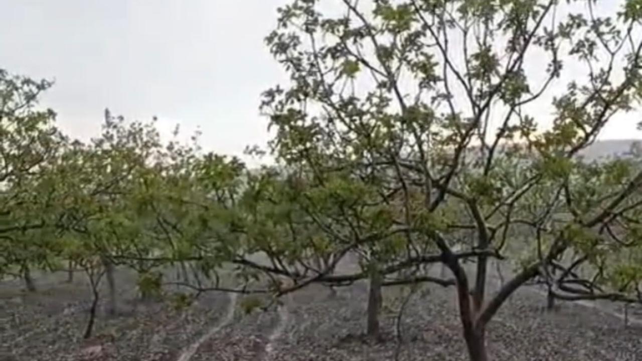 Şanlıurfa’da Dolu ve Sağanak Yağış Hayatı Felç Etti