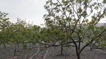 Şanlıurfa’da Dolu ve Sağanak Yağış Hayatı Felç Etti